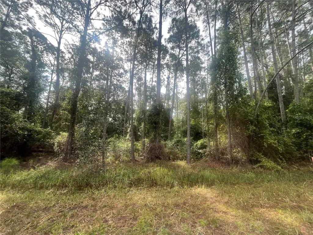 223 SE 2nd Street Georgetown FL 32139