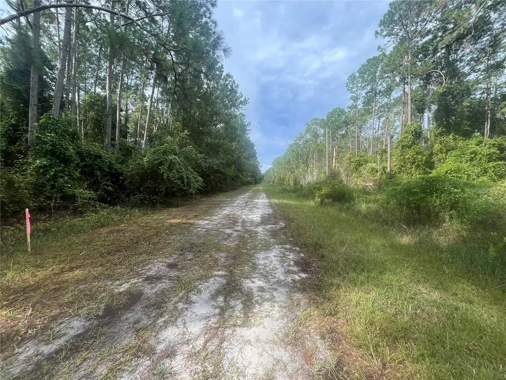 223 SE 2nd Street Georgetown FL 32139