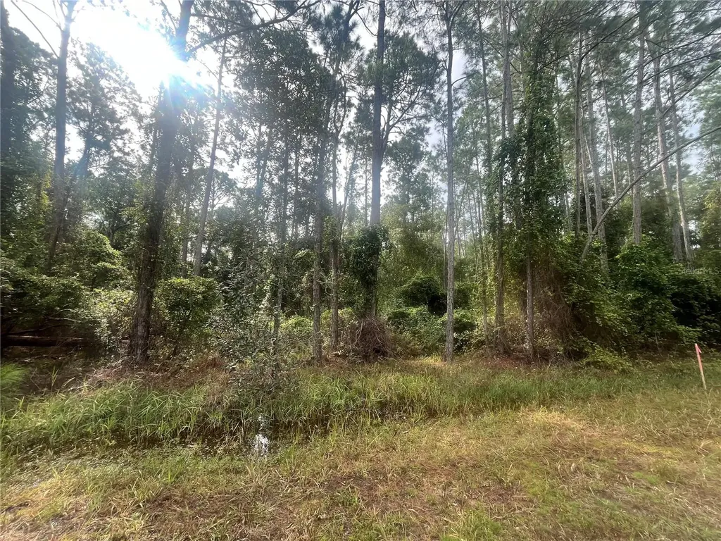 223 SE 2nd Street Georgetown FL 32139