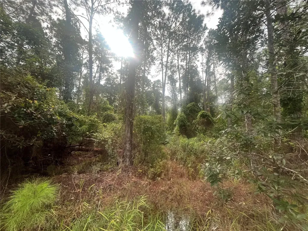 223 SE 2nd Street Georgetown FL 32139