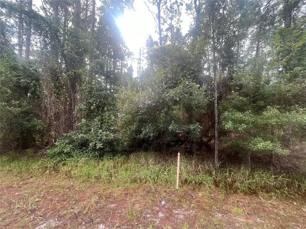 223 SE 2nd Street Georgetown FL 32139