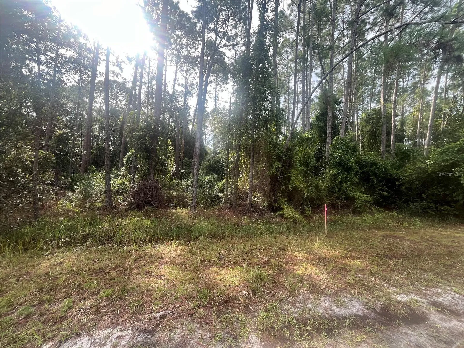 223 SE 2nd Street Georgetown FL 32139