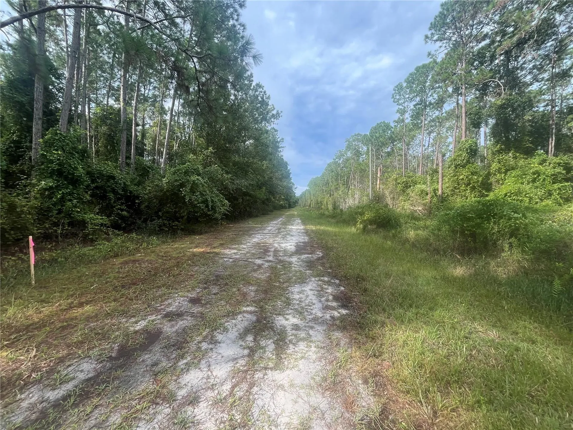 223 SE 2nd Street Georgetown FL 32139