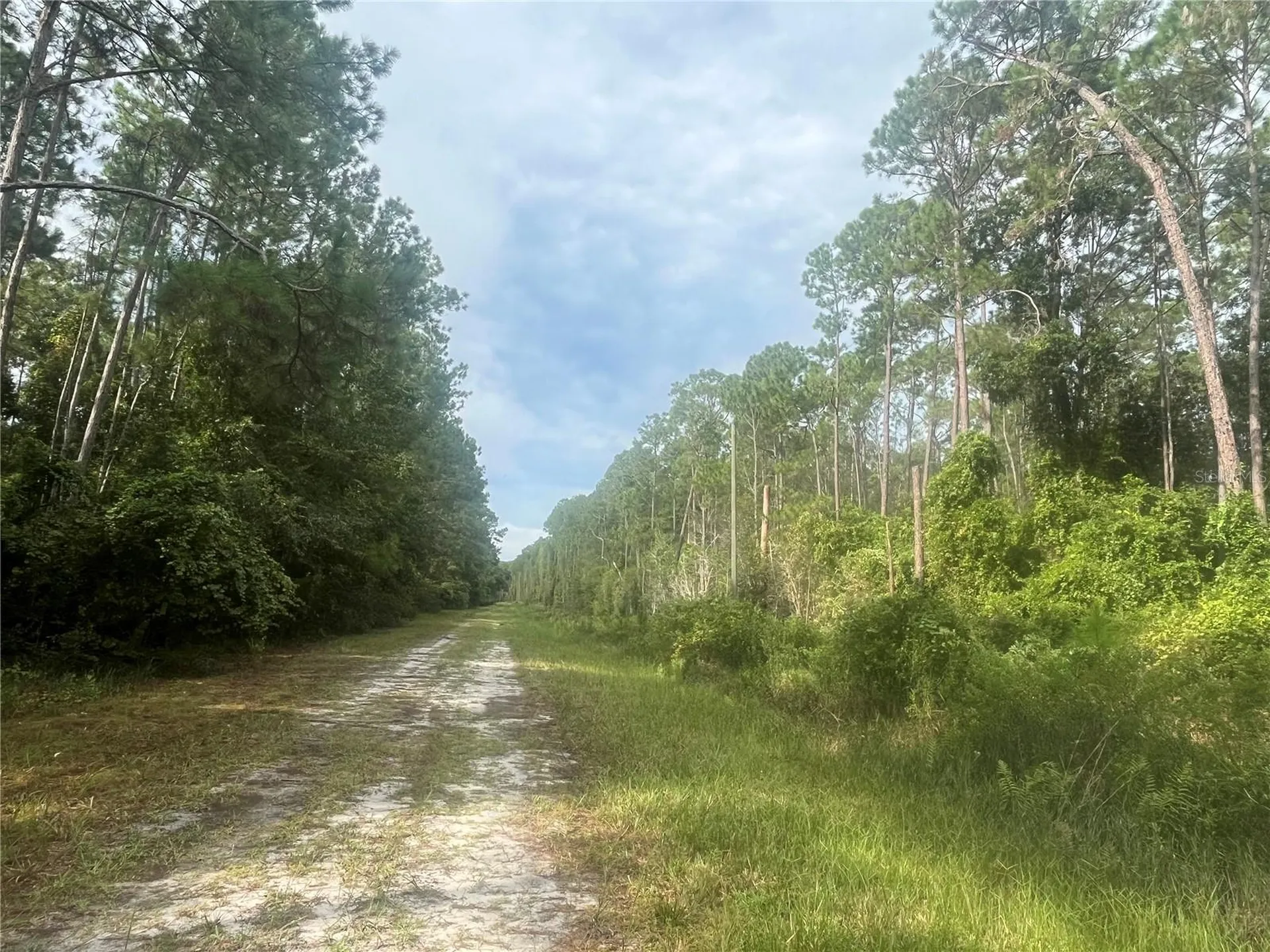 223 SE 2nd Street Georgetown FL 32139
