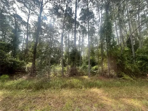 223 SE 2nd Street Georgetown FL 32139