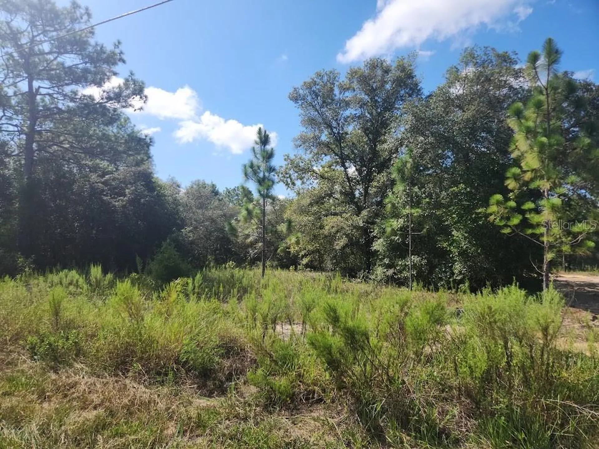 Lot 21 SW Rainbow Lakes Boulevard Dunnellon FL 34431