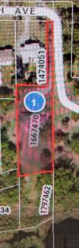 1422 E 8th Avenue Mount Dora FL 32757