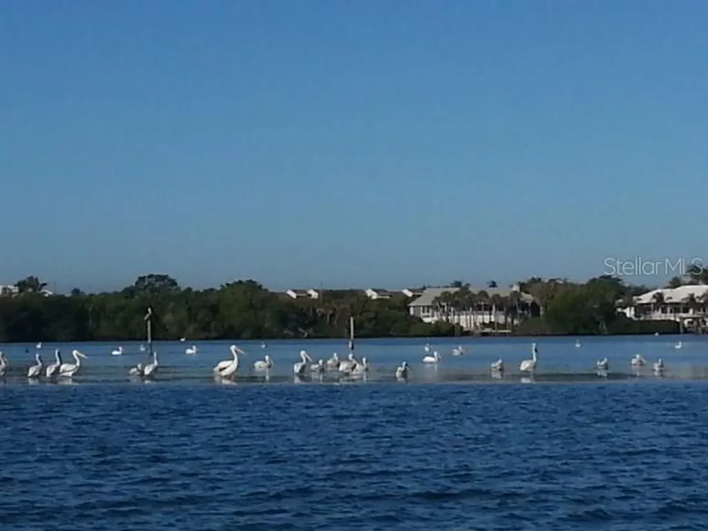120 Albatross Road Rotonda West FL 33947