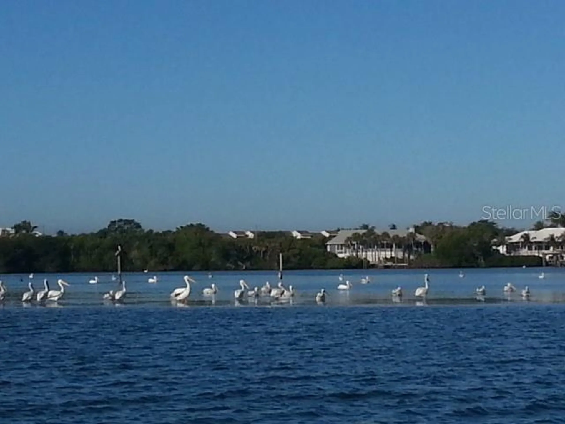120 Albatross Road Rotonda West FL 33947