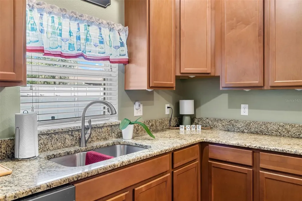 4847 Havilland Drive Mount Dora FL 32757