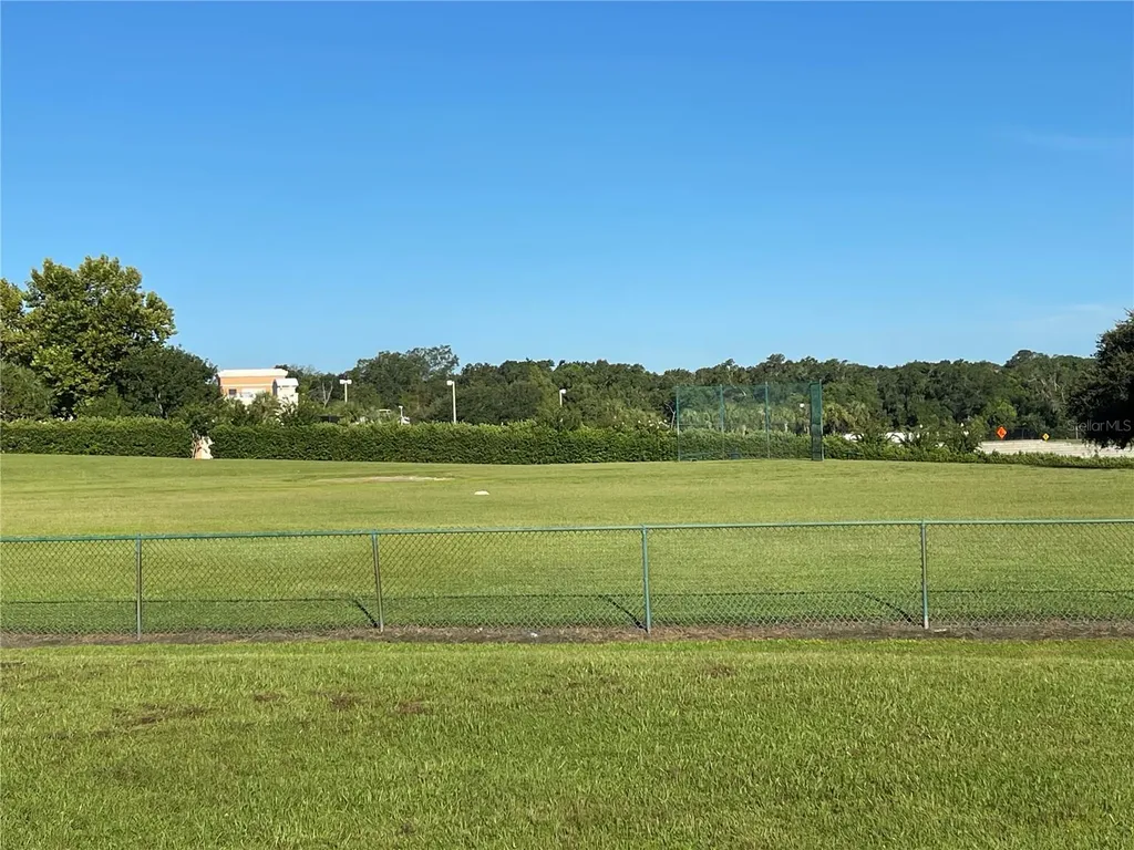 4847 Havilland Drive Mount Dora FL 32757