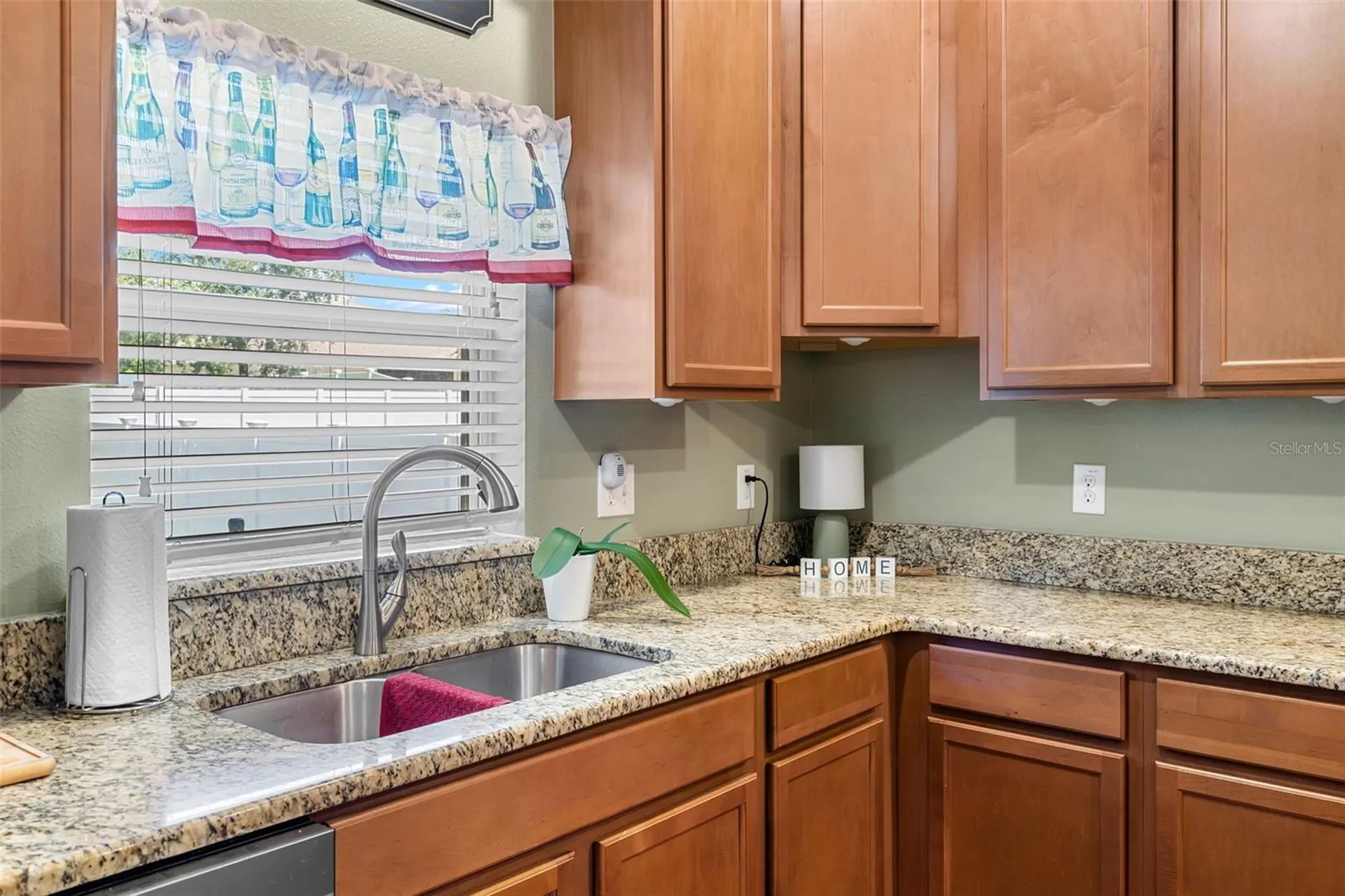 4847 Havilland Drive Mount Dora FL 32757