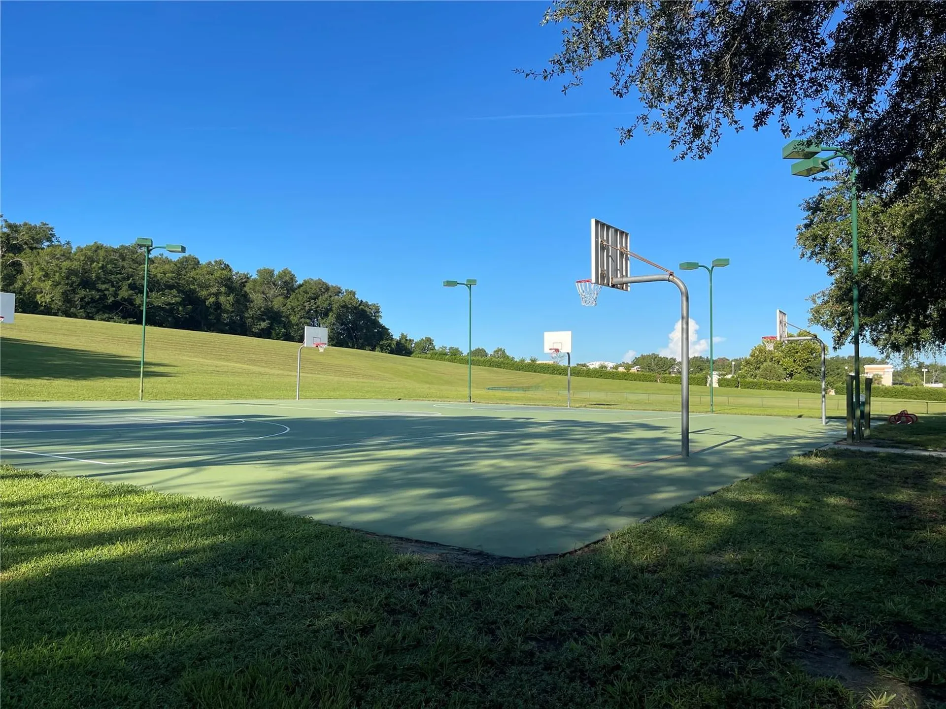 4847 Havilland Drive Mount Dora FL 32757