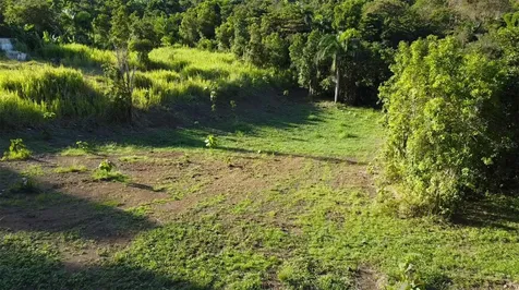 Bo. Carruzo Sector Las Flores Carolina PR 00987