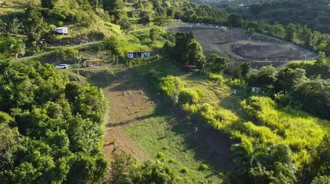 Bo. Carruzo Sector Las Flores Carolina PR 00987