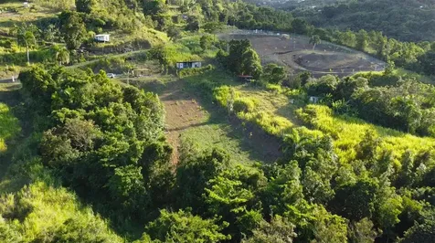 Bo. Carruzo Sector Las Flores Carolina PR 00987
