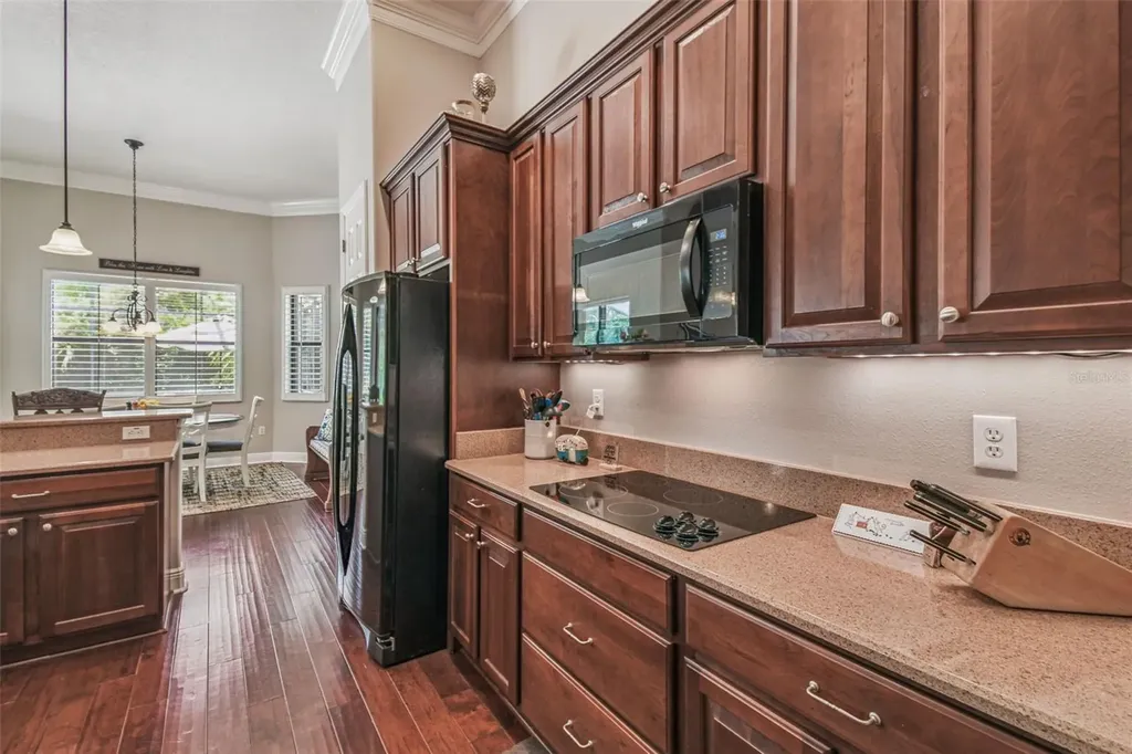 141 Lemon Grove Drive Kissimmee FL 34759