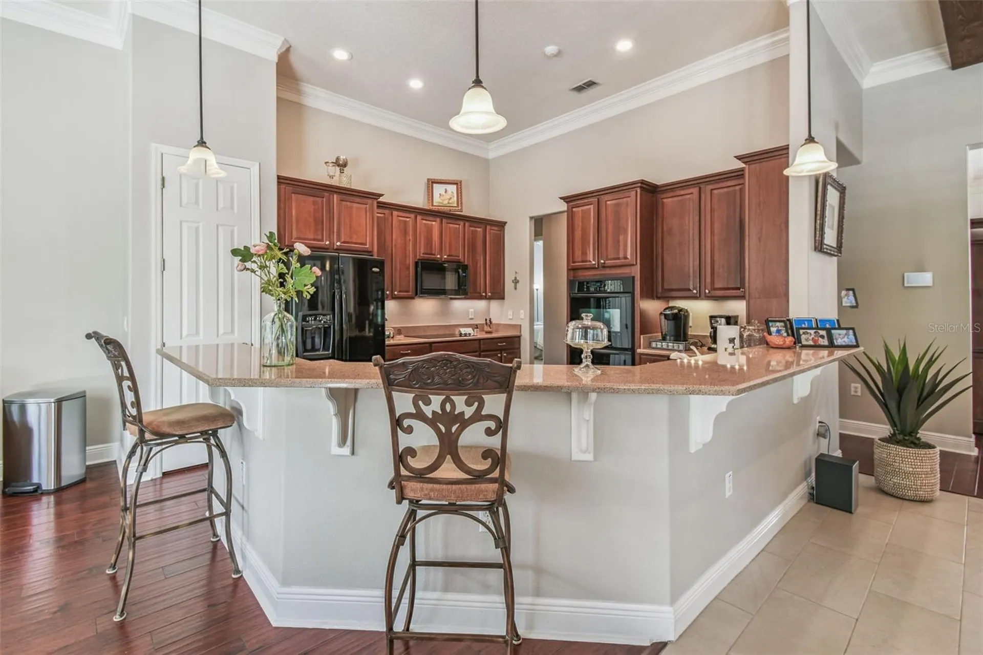 141 Lemon Grove Drive Kissimmee FL 34759