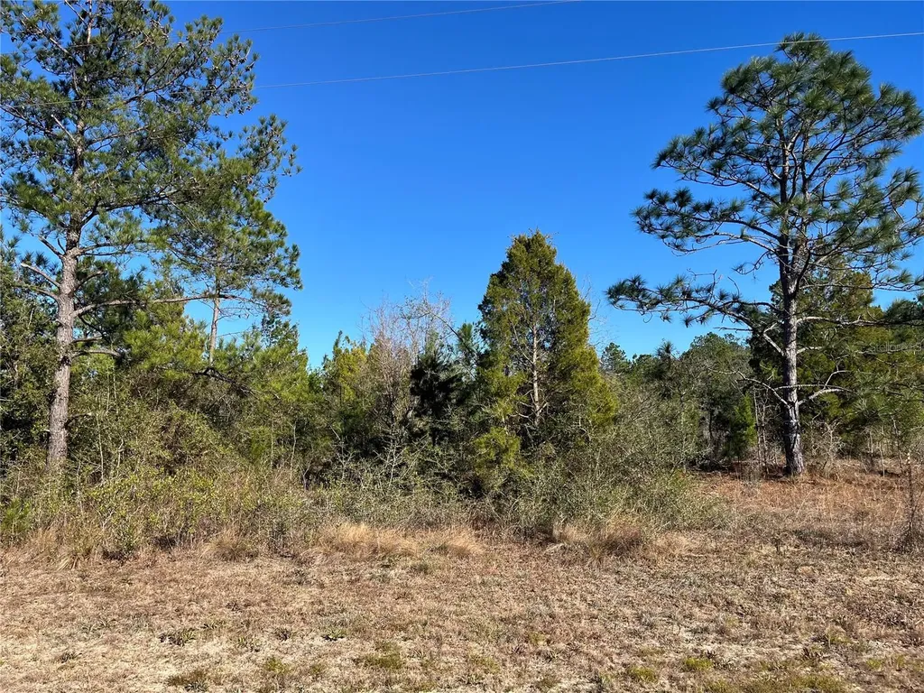 Fairview Road Marianna FL 32448