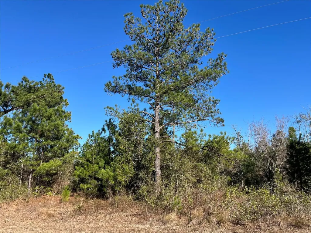 Fairview Road Marianna FL 32448