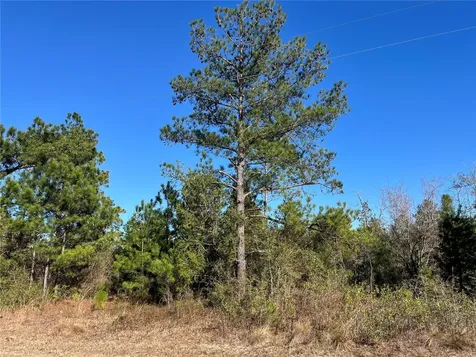 Fairview Road Marianna FL 32448