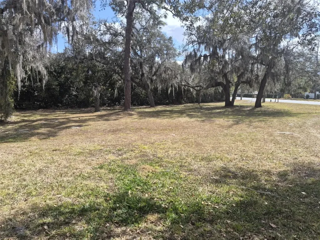 10012 Lake Louisa Road Clermont FL 34711