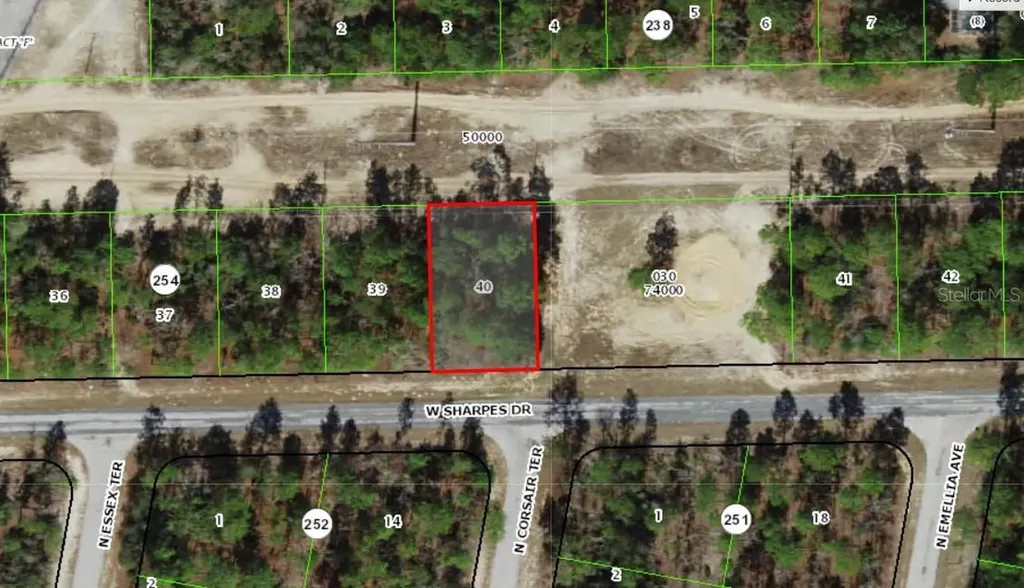 2905 W Sharpes Drive Citrus Springs FL 34433