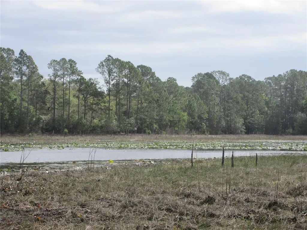 0 SE 10th Street Silver Springs FL 34488