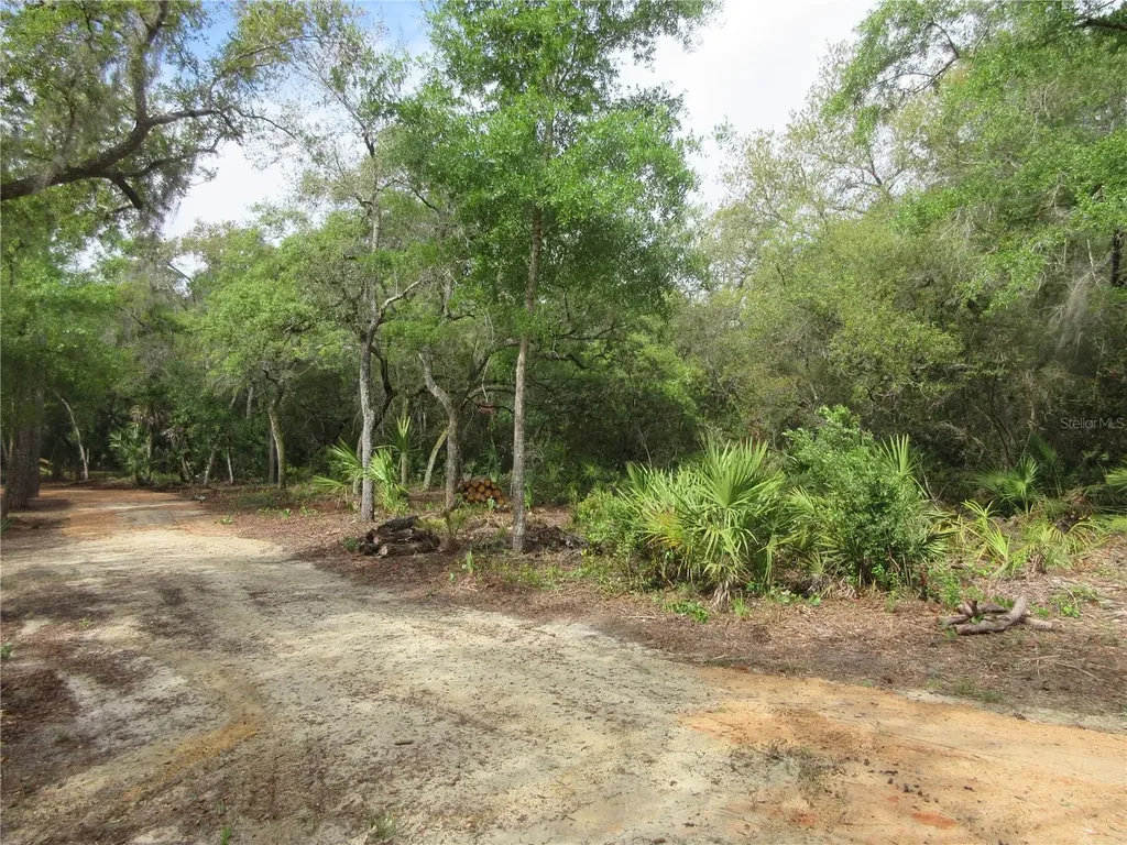 0 SE 10th Street Silver Springs FL 34488