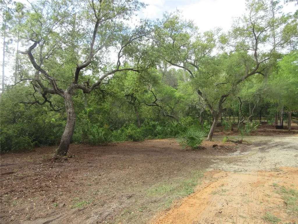 0 SE 10th Street Silver Springs FL 34488