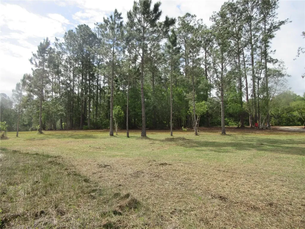 0 SE 10th Street Silver Springs FL 34488