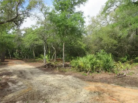 0 SE 10th Street Silver Springs FL 34488
