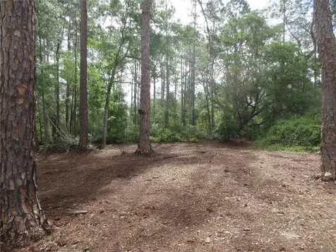 0 SE 10th Street Silver Springs FL 34488