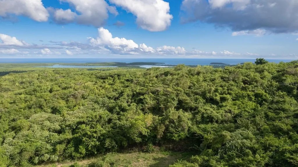 6B Windhorse Vieques PR 00765