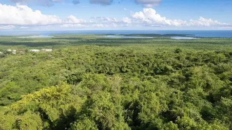 6B Windhorse Vieques PR 00765