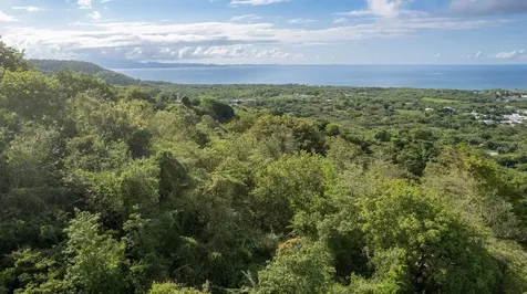 6B Windhorse Vieques PR 00765