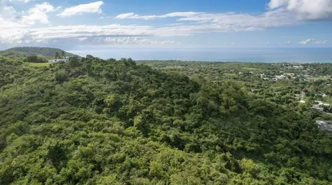 6B Windhorse Vieques PR 00765