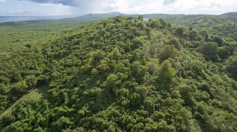 6B Windhorse Vieques PR 00765
