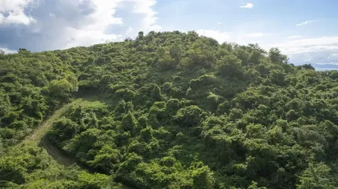 6B Windhorse Vieques PR 00765