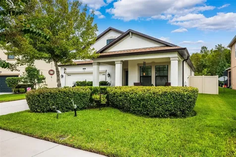21395 Southern Charm Drive Land O Lakes FL 34637
