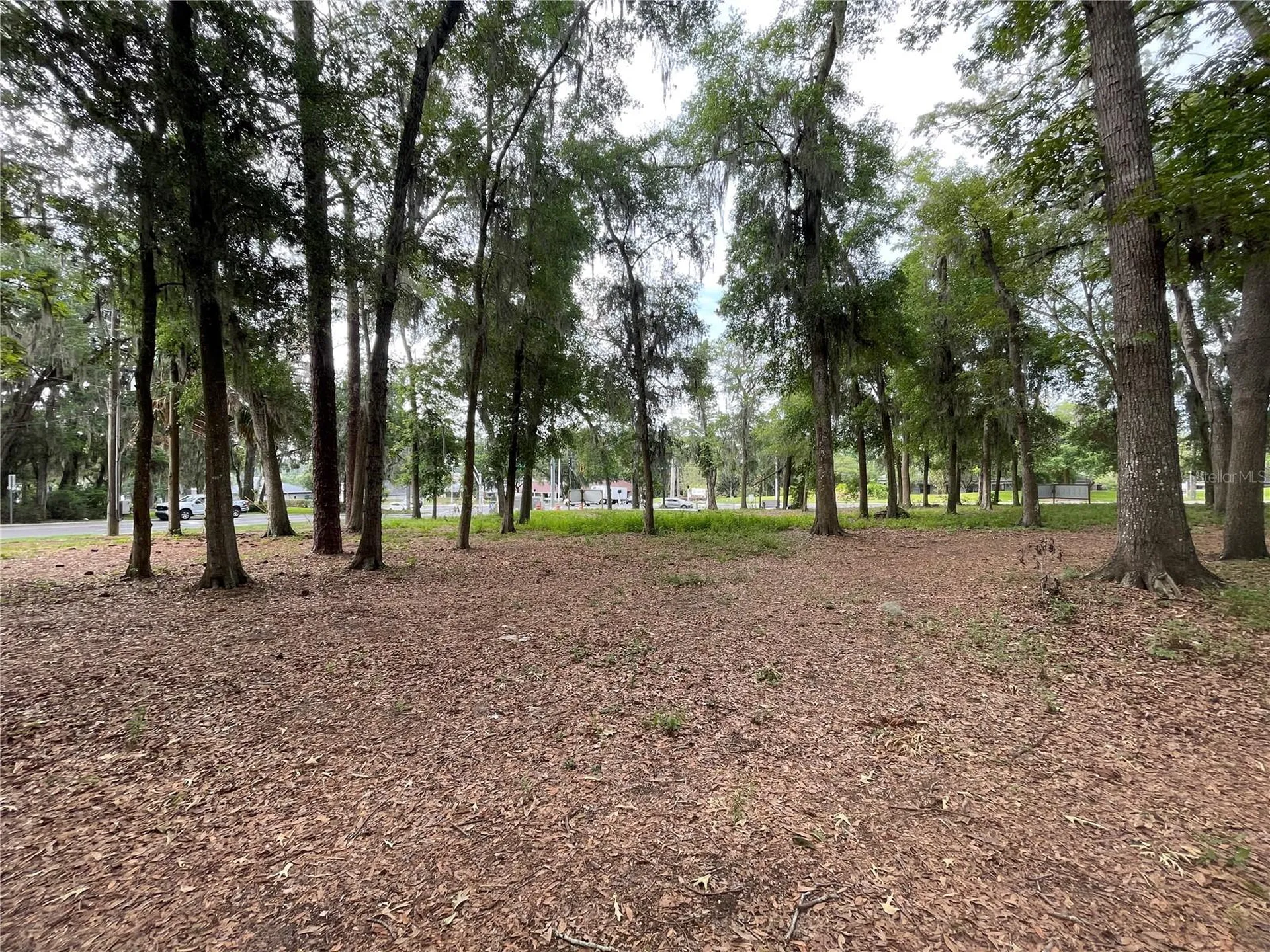 SE 17th Street Ocala FL 34471
