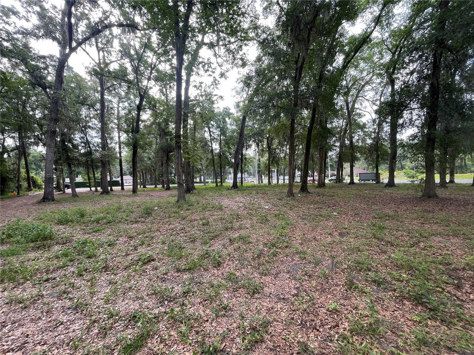 SE 17th Street Ocala FL 34471