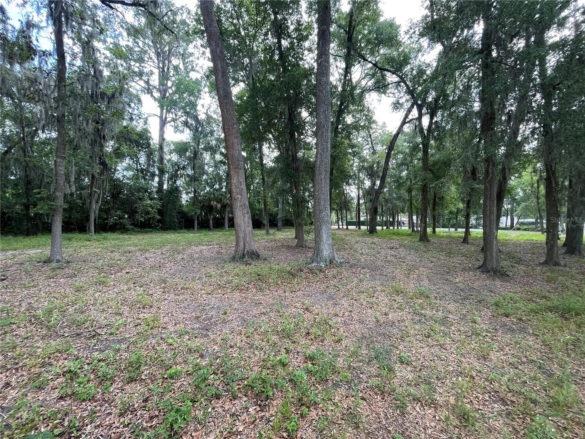 SE 17th Street Ocala FL 34471