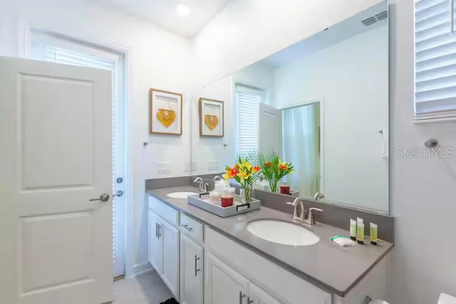 2924 Protagonist Street Kissimmee FL 34746