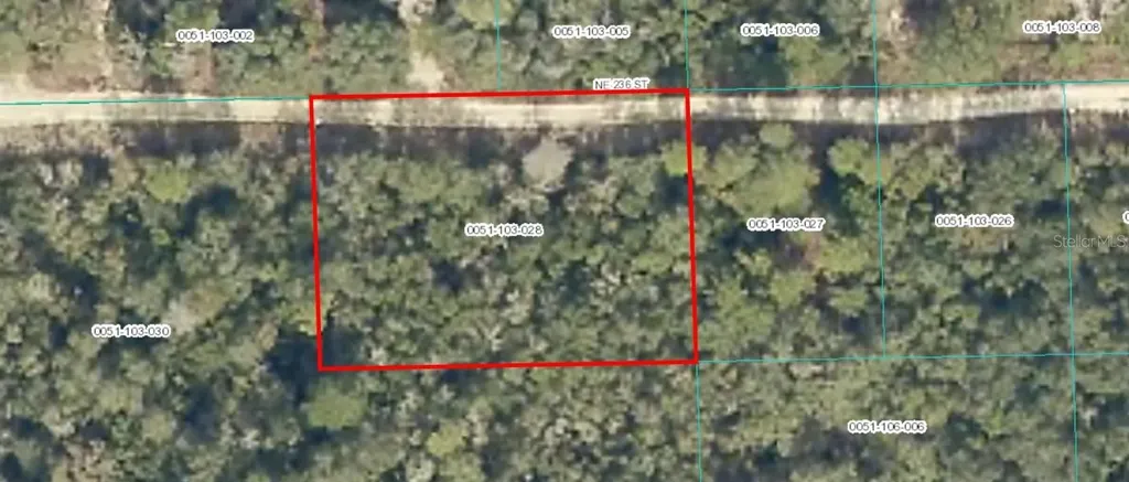 Tbd NE 236 Street Fort Mc Coy FL 32134