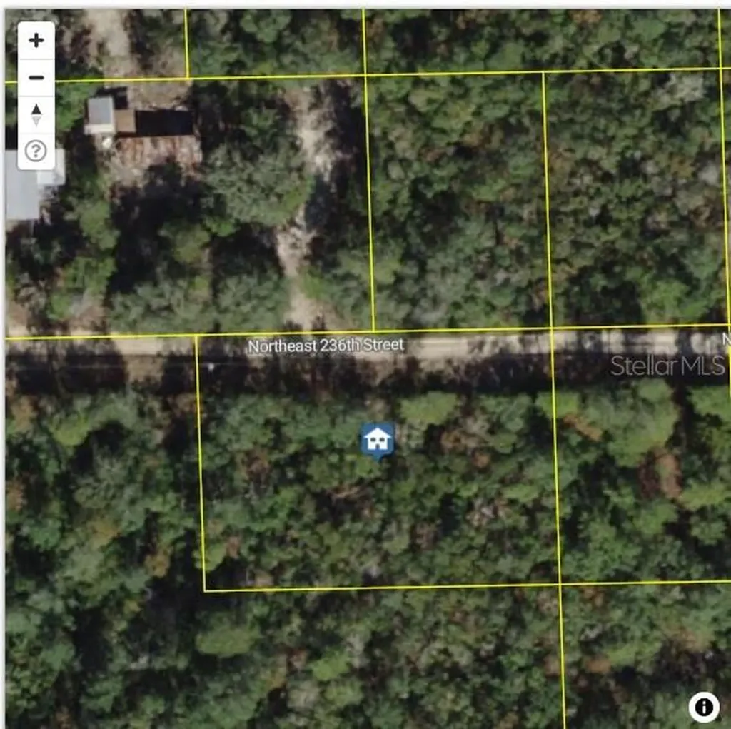 Tbd NE 236 Street Fort Mc Coy FL 32134