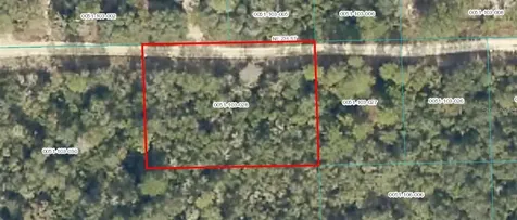 Tbd NE 236 Street Fort Mc Coy FL 32134