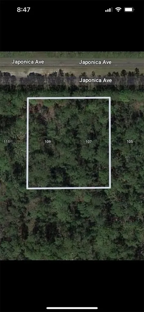 109 Japonica Avenue Indian Lake Estates FL 33855