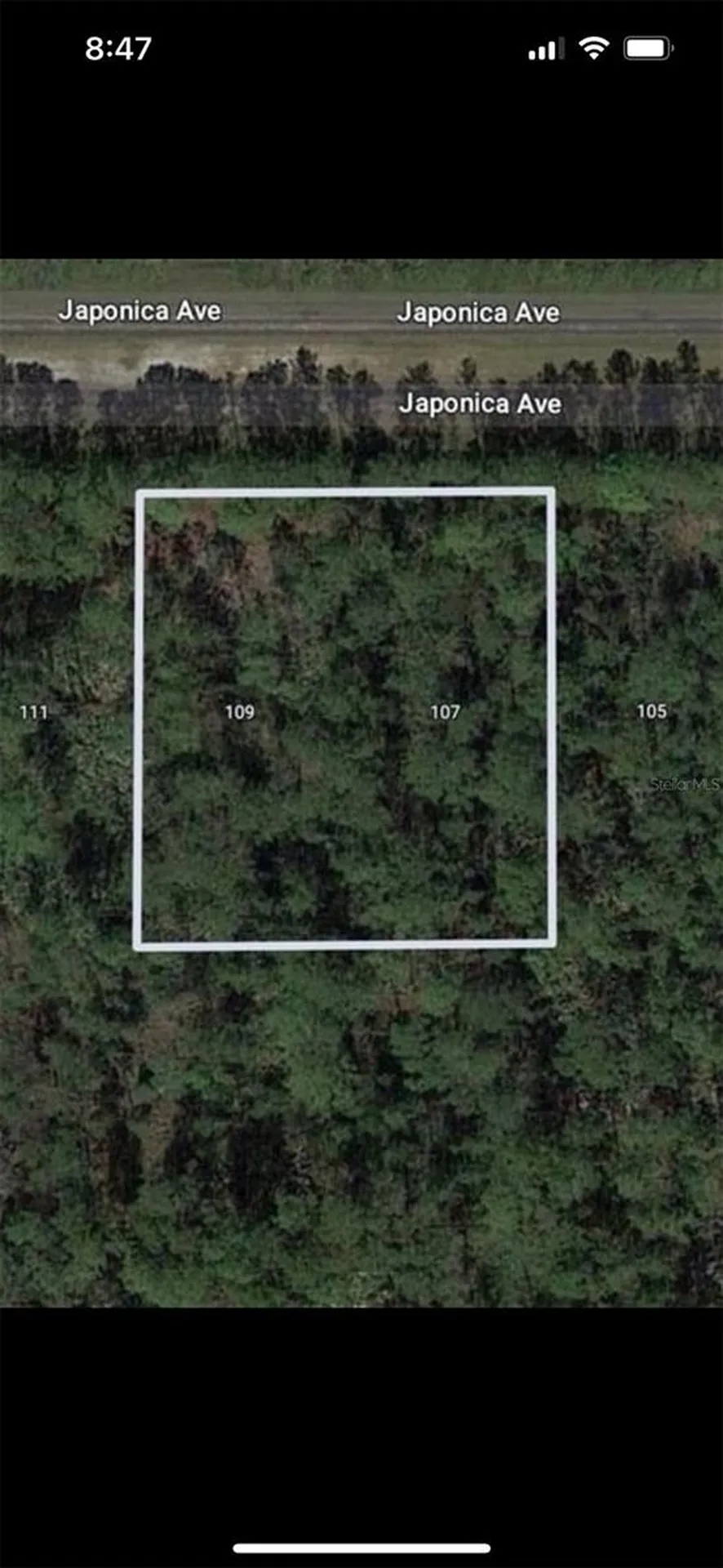 109 Japonica Avenue Indian Lake Estates FL 33855