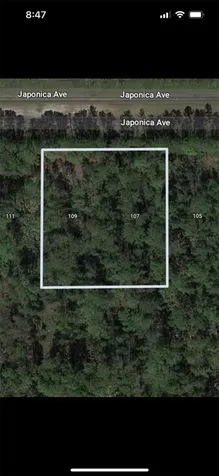 109 Japonica Avenue Indian Lake Estates FL 33855
